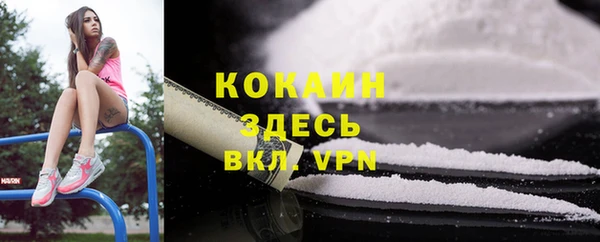 тгк Магас