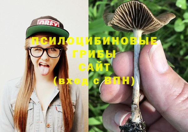 бутират Майский