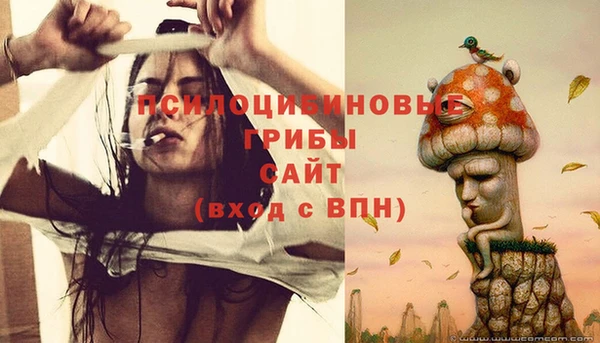 прущая мука Магадан
