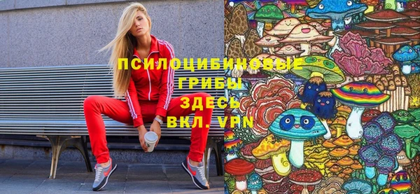 гидра Нижний Тагил