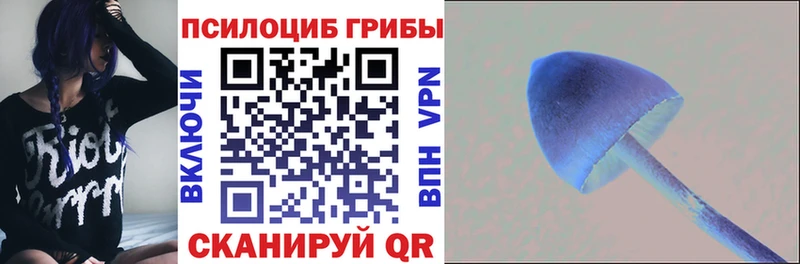купить наркотик  Удачный  Псилоцибиновые грибы мицелий 